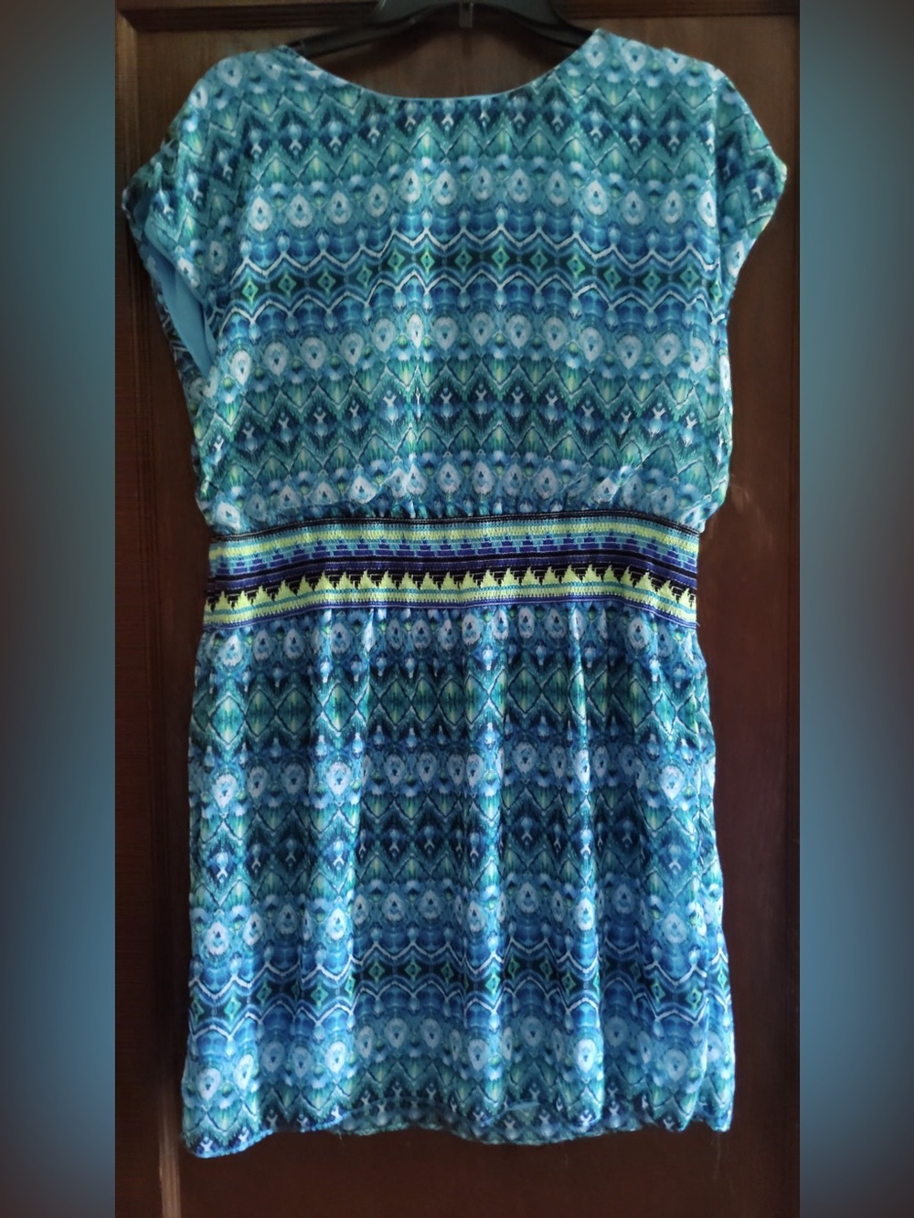 NWT Fifth & Park dress